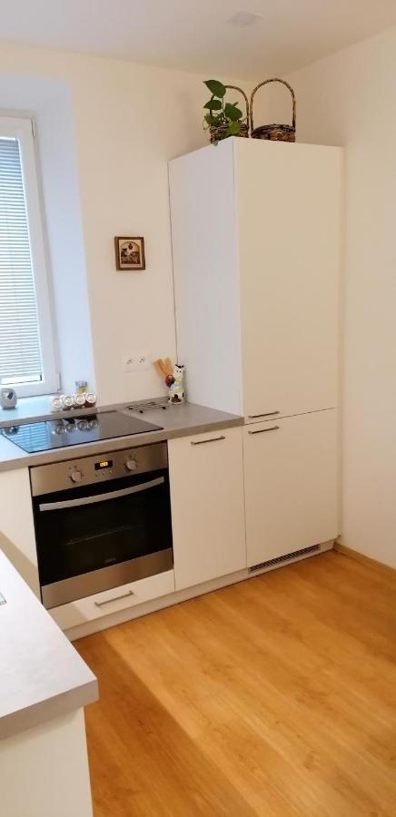 Apartman U Moravy Olomouc Eksteriør bilde
